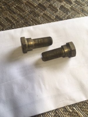 image1.jpeg