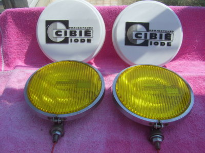 SV101231.JPG