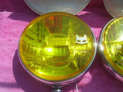 SV101306.JPG