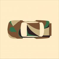 calder-camo.jpg