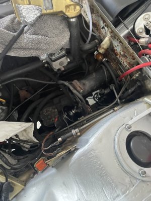 7C3A28D3-7ABB-4959-A06C-058B3E8D4B01.jpeg 7C3A28D3-7ABB-4959-A06C-058B3E8D4B01.jpeg