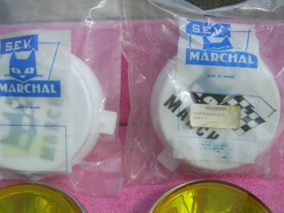 SV101510.JPG