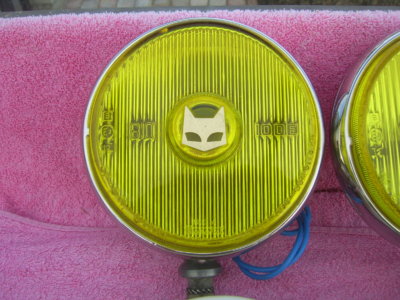 SV101607.JPG