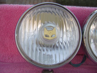 SV101613.JPG