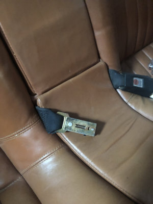 Rear seat Belt.jpeg