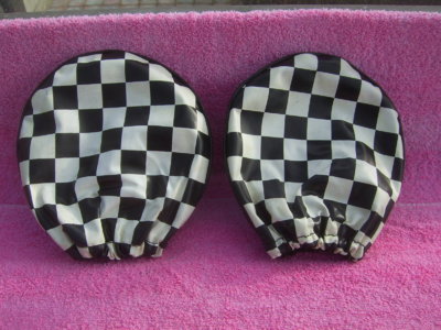 SV101813.JPG