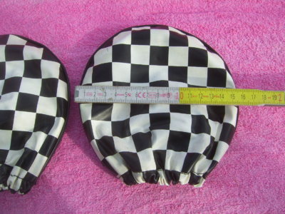 SV101816.JPG