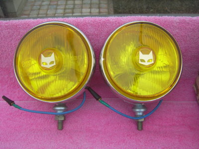 SV101902.JPG