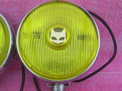 SV101908.JPG