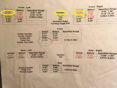 IMG_8205_annotated.jpg