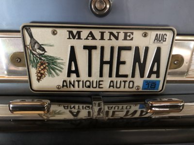 License Plate.jpg