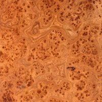 Carpathian%20Elm%20Burl.jpg