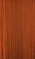sapele_quarterer_cut_ribbon.jpg