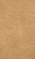 maple_rotary_cut_curly.jpg