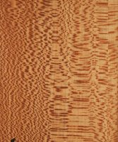 lacewood 1.jpg