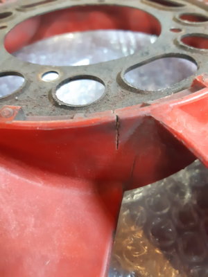 20220128_102452.jpg