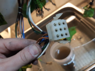 20220128_235016.jpg