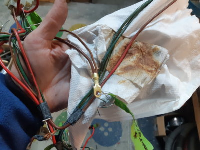 20220129_174353.jpg