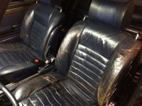 interior 2.jpg