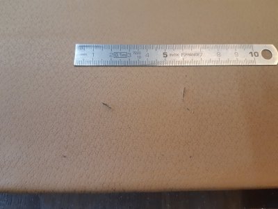 20220731_105541.jpg