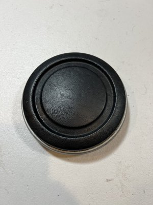 steering wheel center cap.jpeg