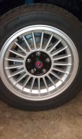wheelcap8.jpg