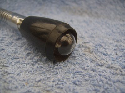 SV104219.JPG