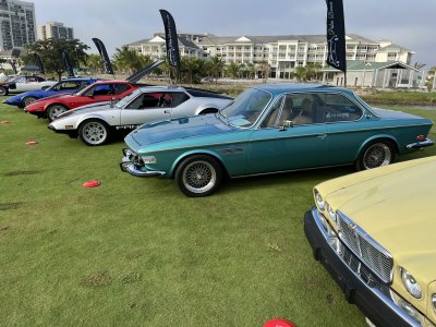 IMG_2584(1).jpg