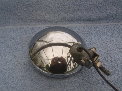 SV105214.JPG