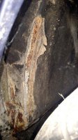 IMG_20160531_180449715.jpg