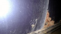 IMG_20160531_175918658.jpg