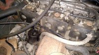 IMG_20160531_175835459.jpg