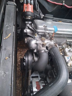 shanon m30 w korman h20.jpg