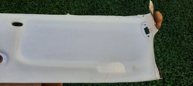 20230825_084219.jpg