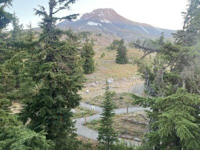 IMG_7170.jpeg