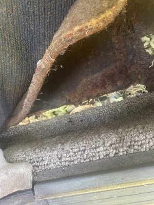 IMG_0822.jpeg