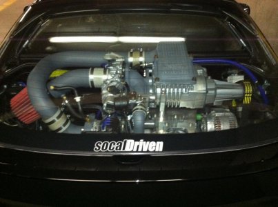 IMG_1619.jpg