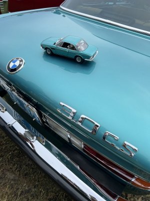 IMG_6682.jpg