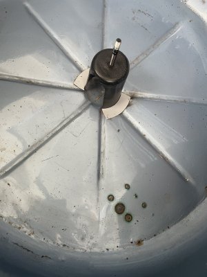 IMG_0031.jpg