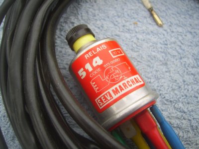 SV107535.JPG