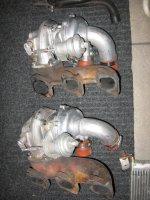 IMG_1185.JPG