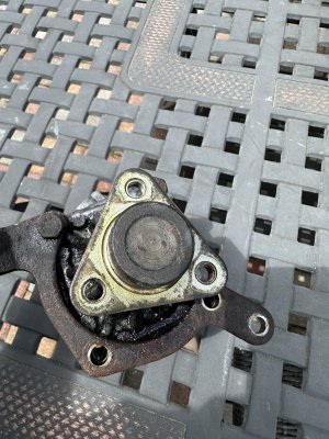 326F424A-24D6-4178-847C-291450053F12.jpeg