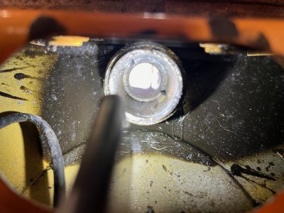 trunk2.jpg