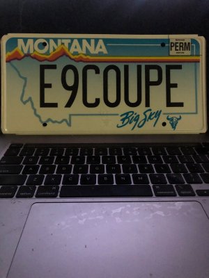 E9 Coupe Plate.JPG