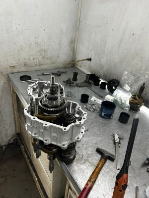 6e240849-b34d-414c-8545-be09dbd18560.jpeg