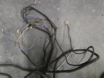 20250218_173410.jpg