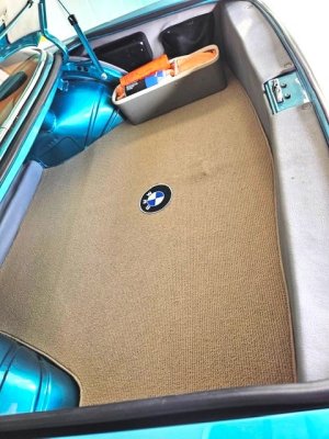 Trunk.JPG