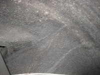 IMG_4724.jpg