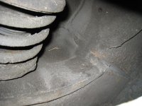 IMG_4710.jpg