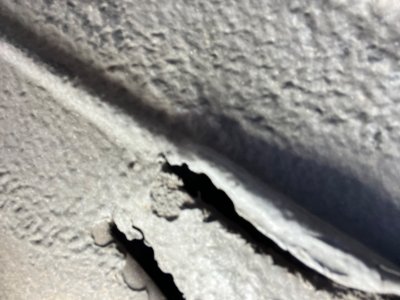 IMG_1251.jpeg